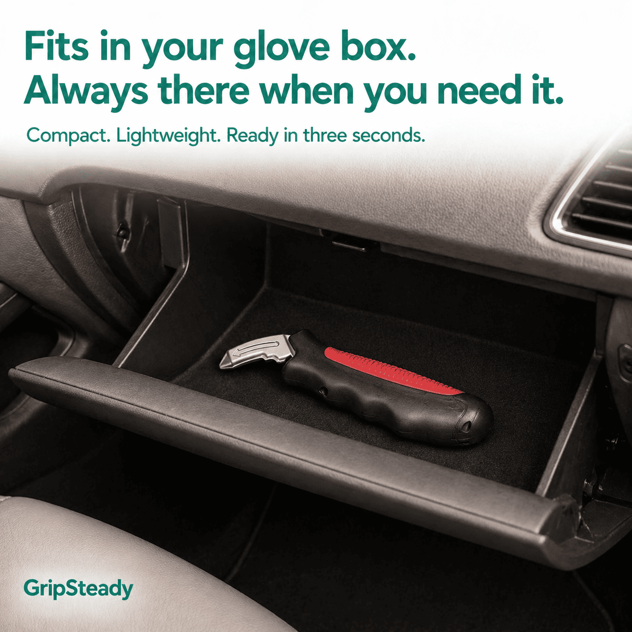 GripSteady — Car Door Assist Handle. Fits Any Car. Safe Exit Every Time.